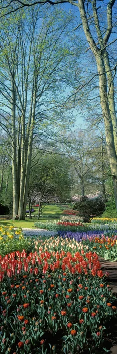 Spring Garden Vertical 3816