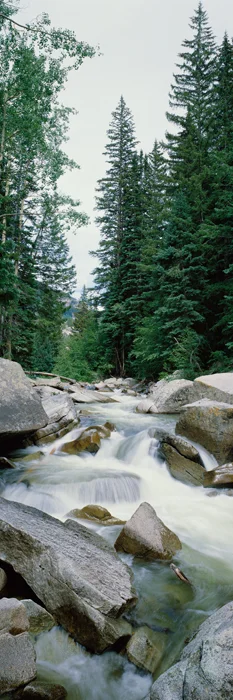 Rocky Mountain Stream 7200