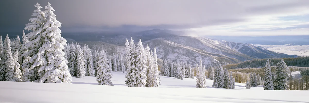Winter Landscape 3636