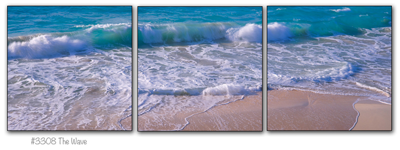 3308_triptych.jpg