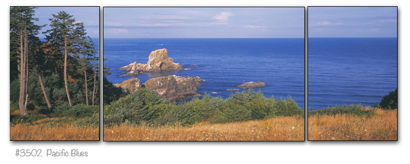 3502_triptych.jpg
