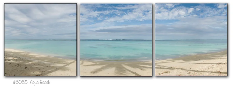6085_triptych.jpg