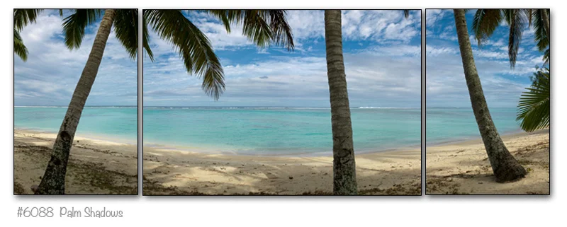 6088_triptych.jpg
