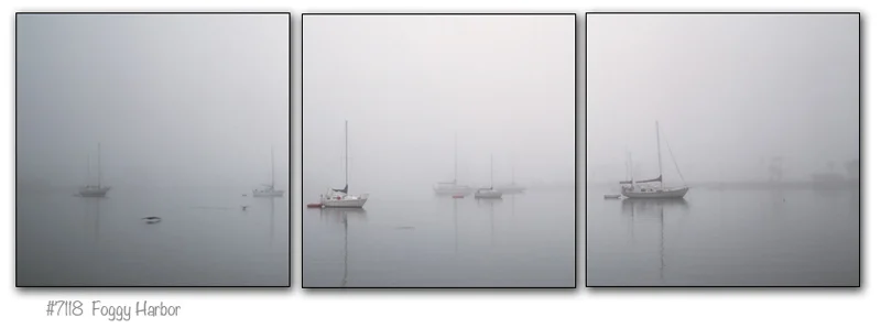 7118_triptych.jpg