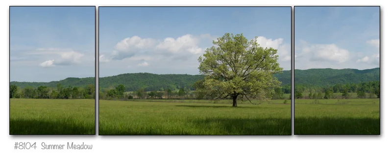 8104_triptych.jpg