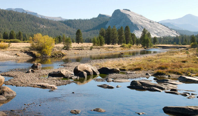 Tuolumne Meadows - Yosemite NP - California art-3110