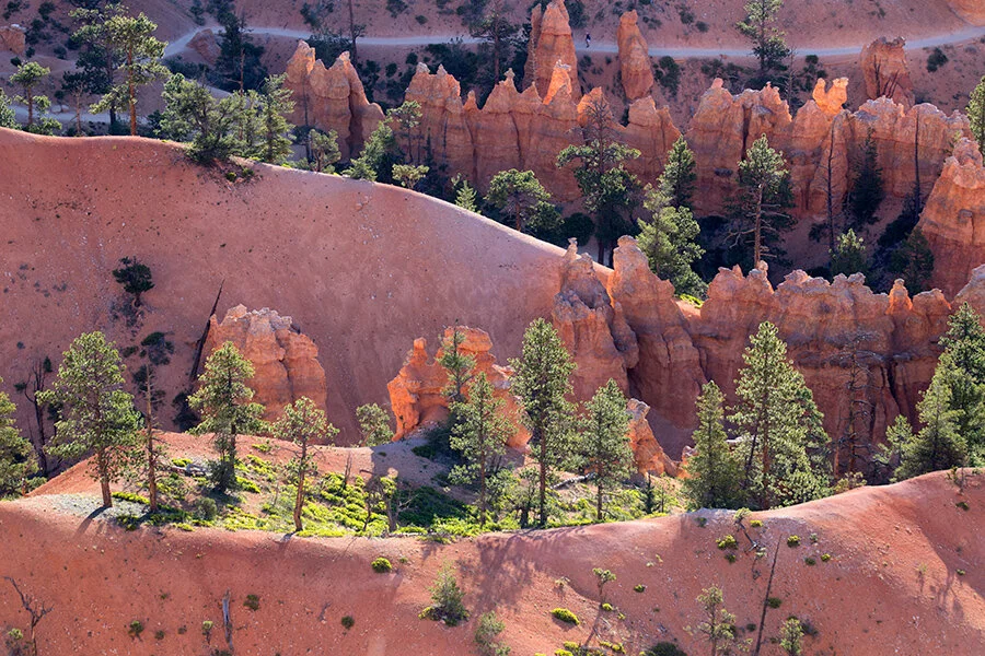 Bryce Beauty SW3175