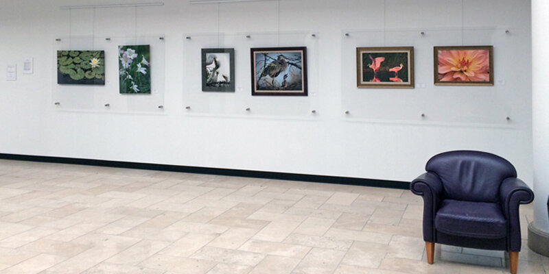The Gallery at Siesta Key, Sarasota, FL