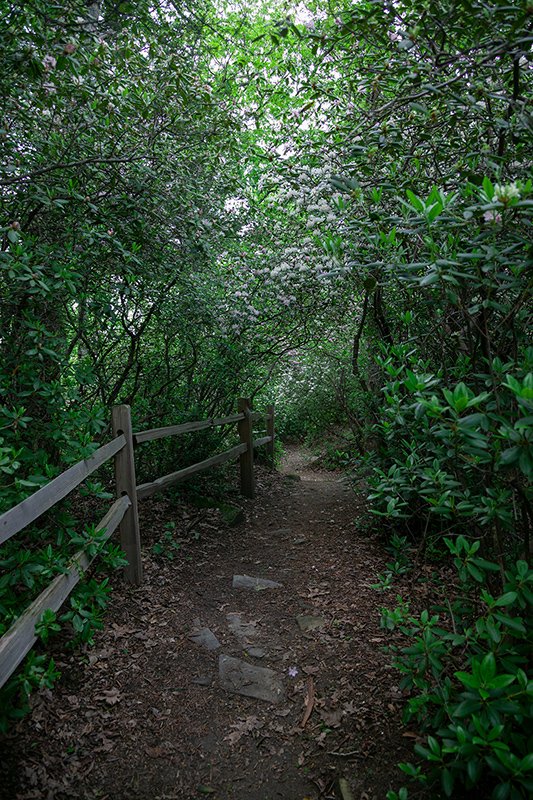 Caesars Head State Park - South Carolina NC-607