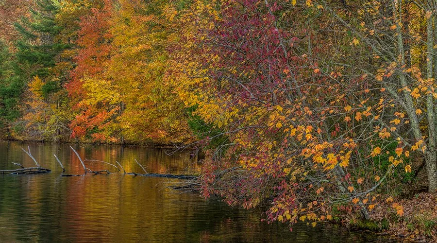 WV_2079.jpg