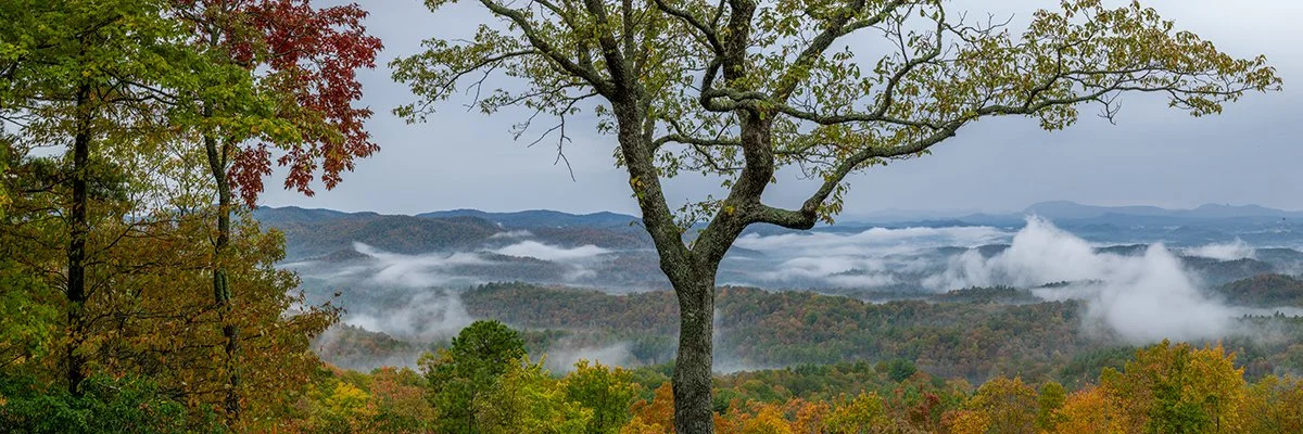  Clearing Morning Fog - 6011_BRP 