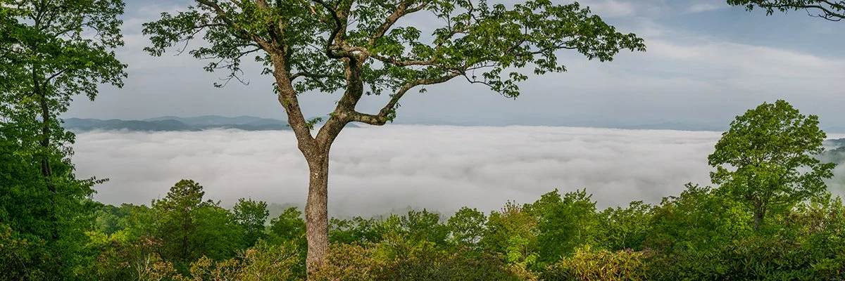  Fog in the Valley Below - 6022_BRP 