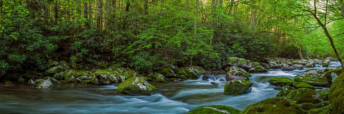  Mountain Stream in Great Smoky Mountains - 6023_BRP 
