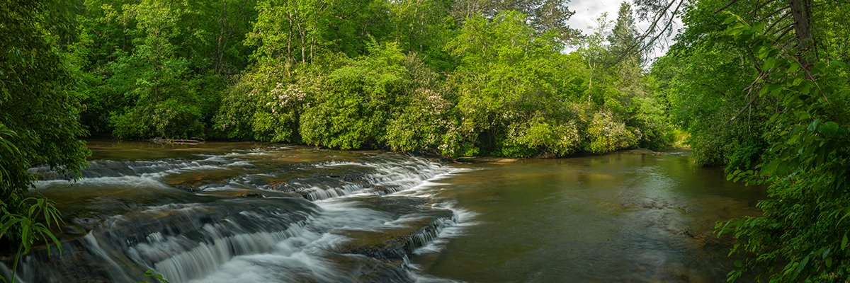  River Cascade with Spring Wildflowers - 6032_BRP 
