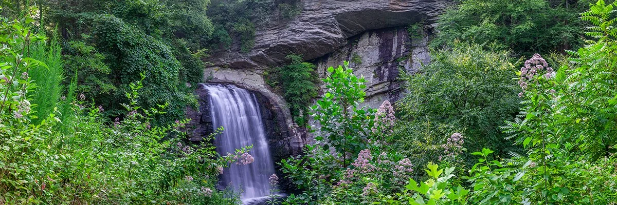  Looking Glass Falls in North Carolina - 6036_BRP 