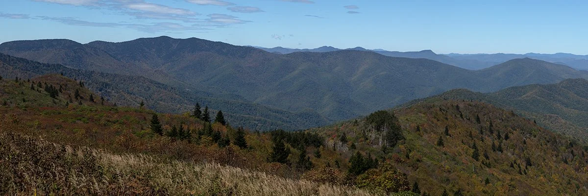  Black Balsam View - 6038_BRP 