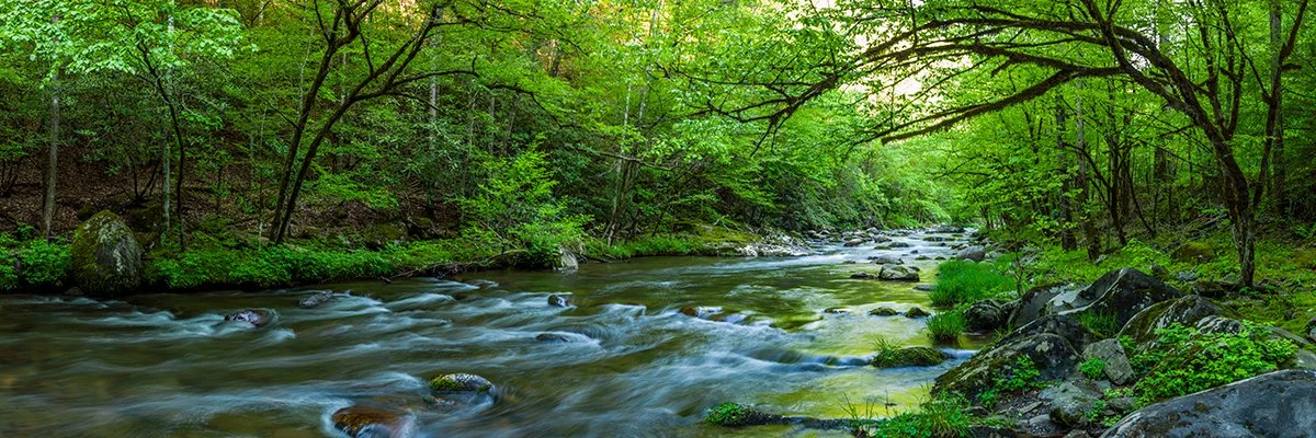  Springtime Mountain Stream in Smokey Mountains - 6045_BRP. 