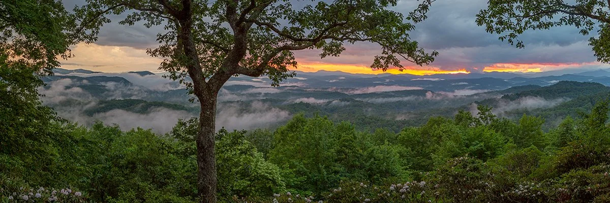  Sunset with Clouds and Mountain Laurel - 6051_BRP 