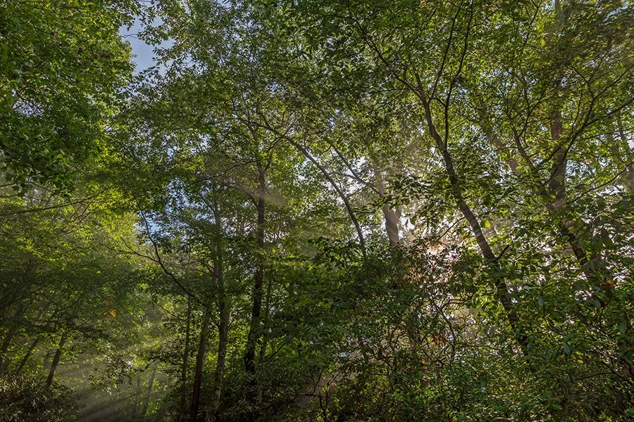 BR_6035.jpg