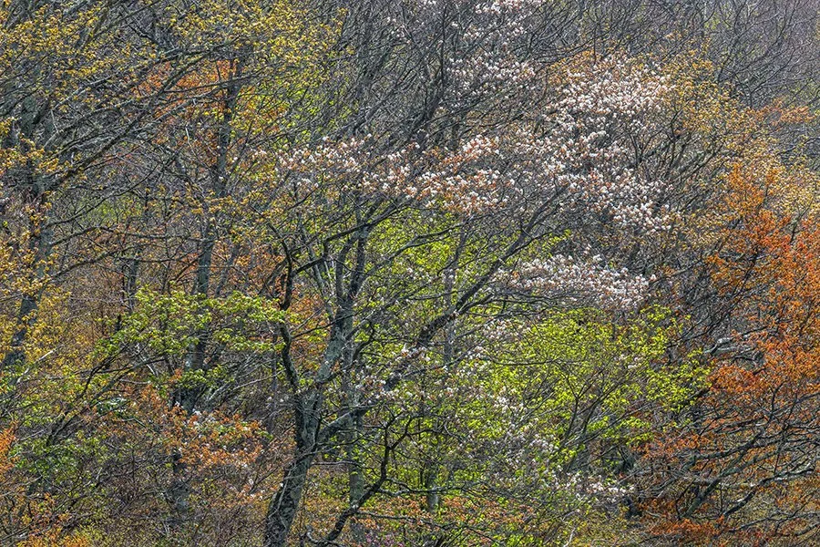 BR_6084.jpg