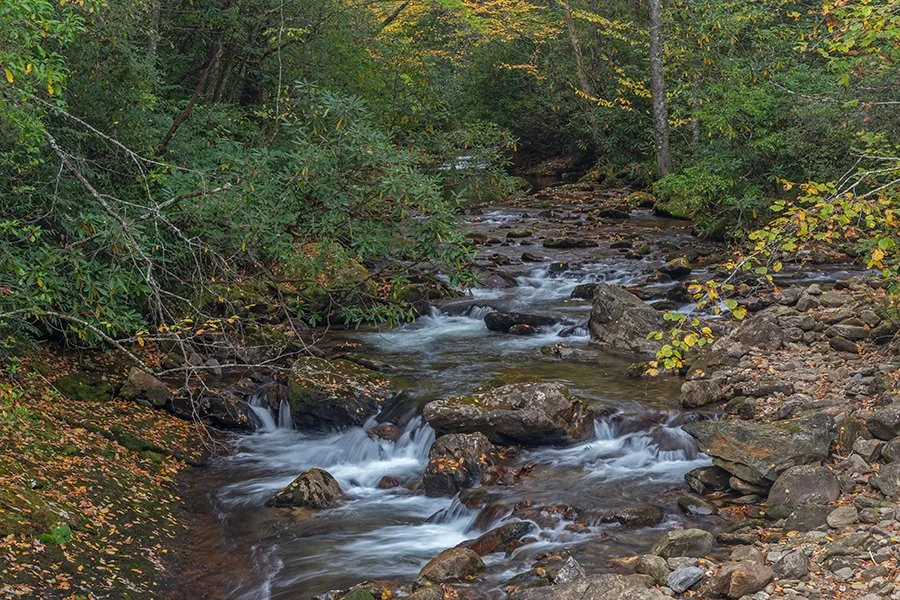 BR_6096.jpg
