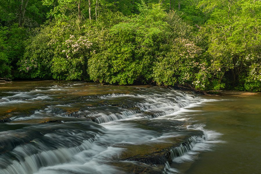 BR_6394.jpg