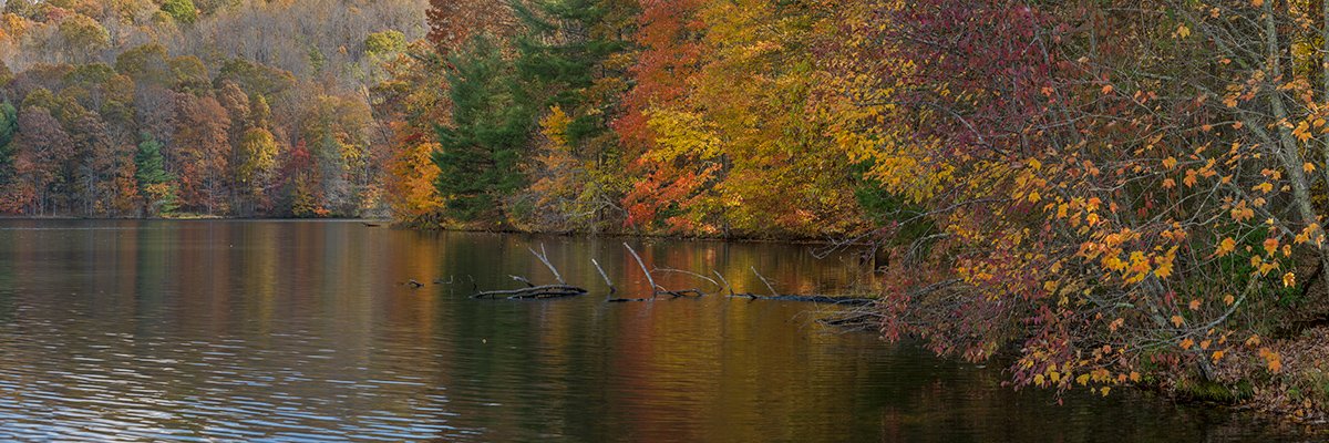  Fall Colors Reflecting on the Lake - DP_9140 