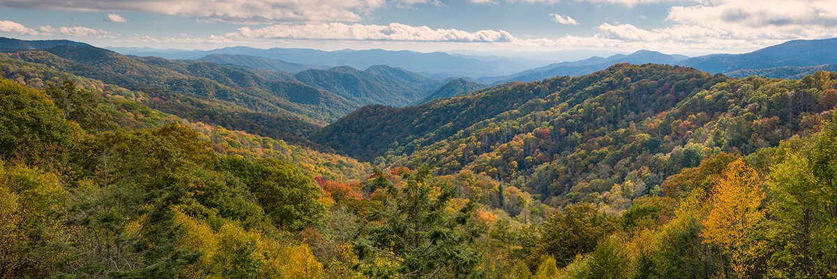  Great Smoky Mountains NP, Tennessee - DP-9205 