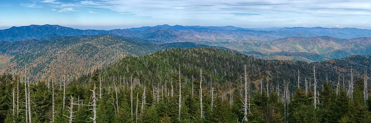  Clingmans Dome ,  Great Smoky Mountains NP - DP-9211 