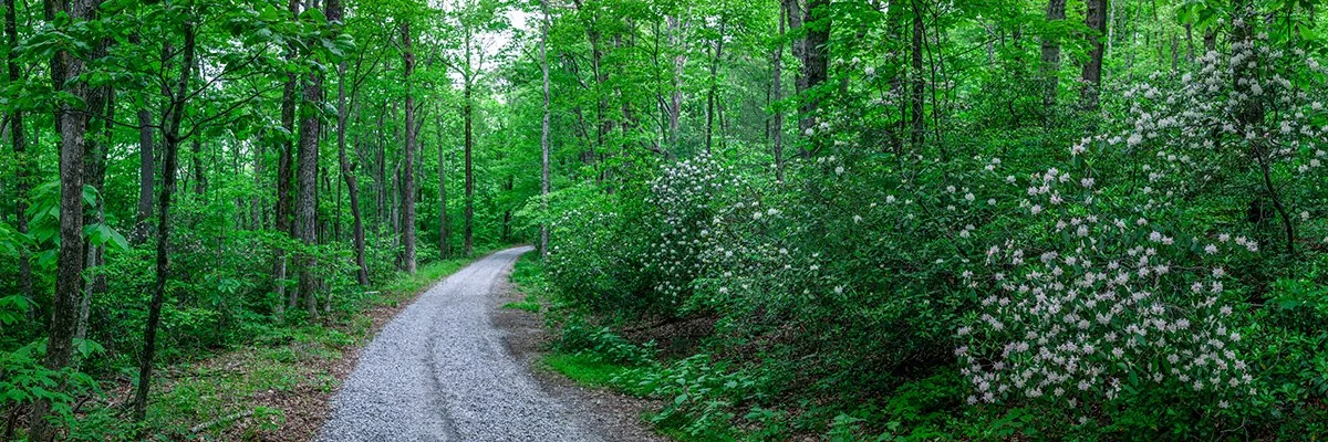  Woodland Road  DP21-2002 