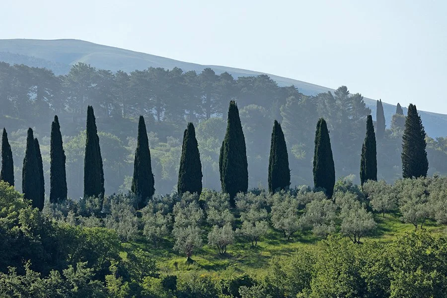  Assisi, Umbria, Italy - 129300_IT 