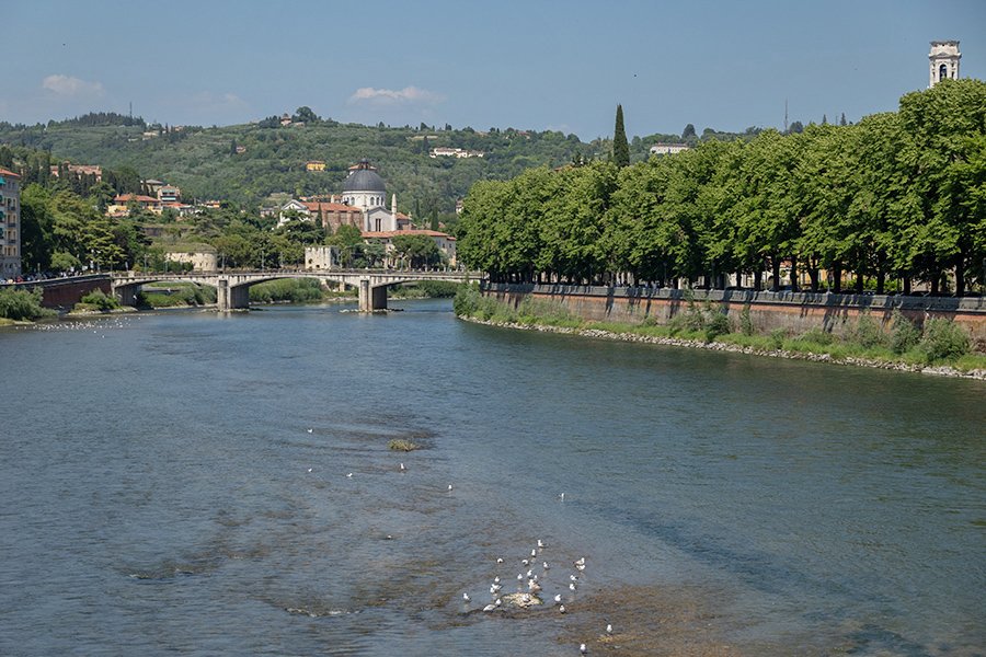 Adige River flowing through Verona, Italy - 131400_IT 