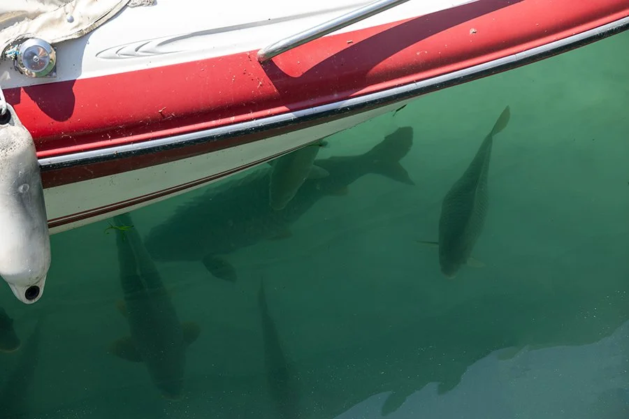  Fish under boat, Sirmione, Lake Garda, Italy - 133412_IT 