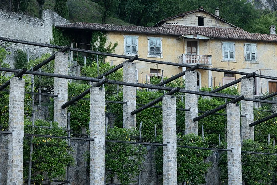  Limonaia (lemon tree greenhouse) Limone sul Garda, Italy - 139561_IT 
