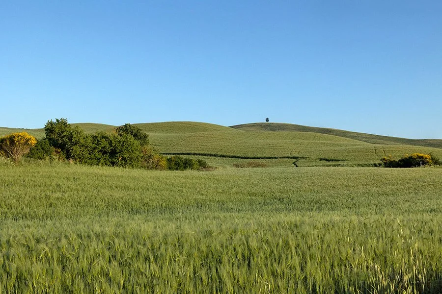   Val D'Orica, Tuscany, Italy - 126521_IT 
