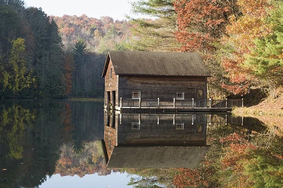  Fall Colors at the Boat House, Dupont Forest - NC14_541 