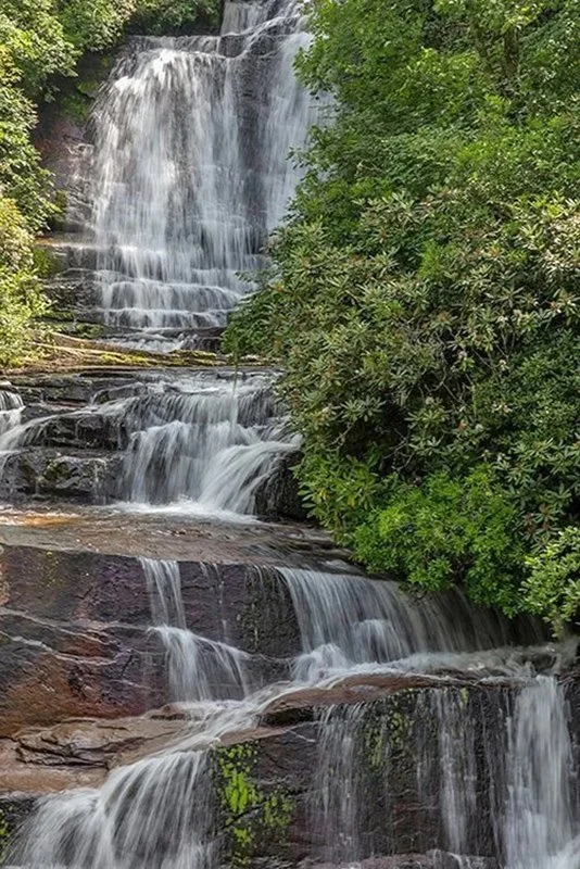  Connestee Falls Springtime - NC714_2274 