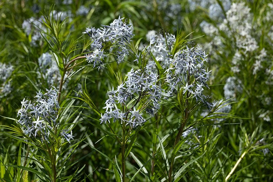 5377NC_426_.jpg