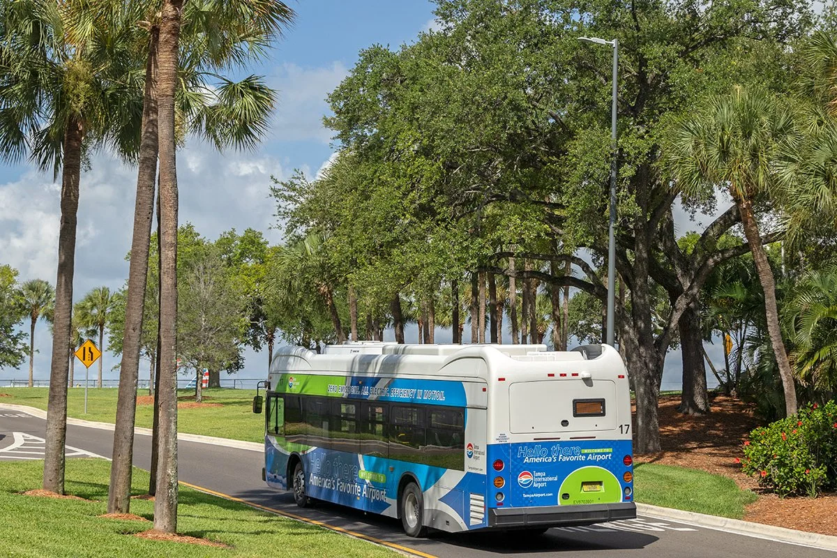 32546_TPA626.jpg