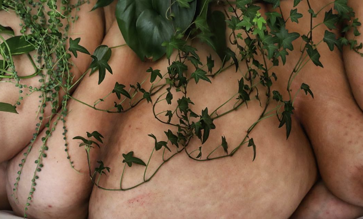 vine belly nyc 2018.png