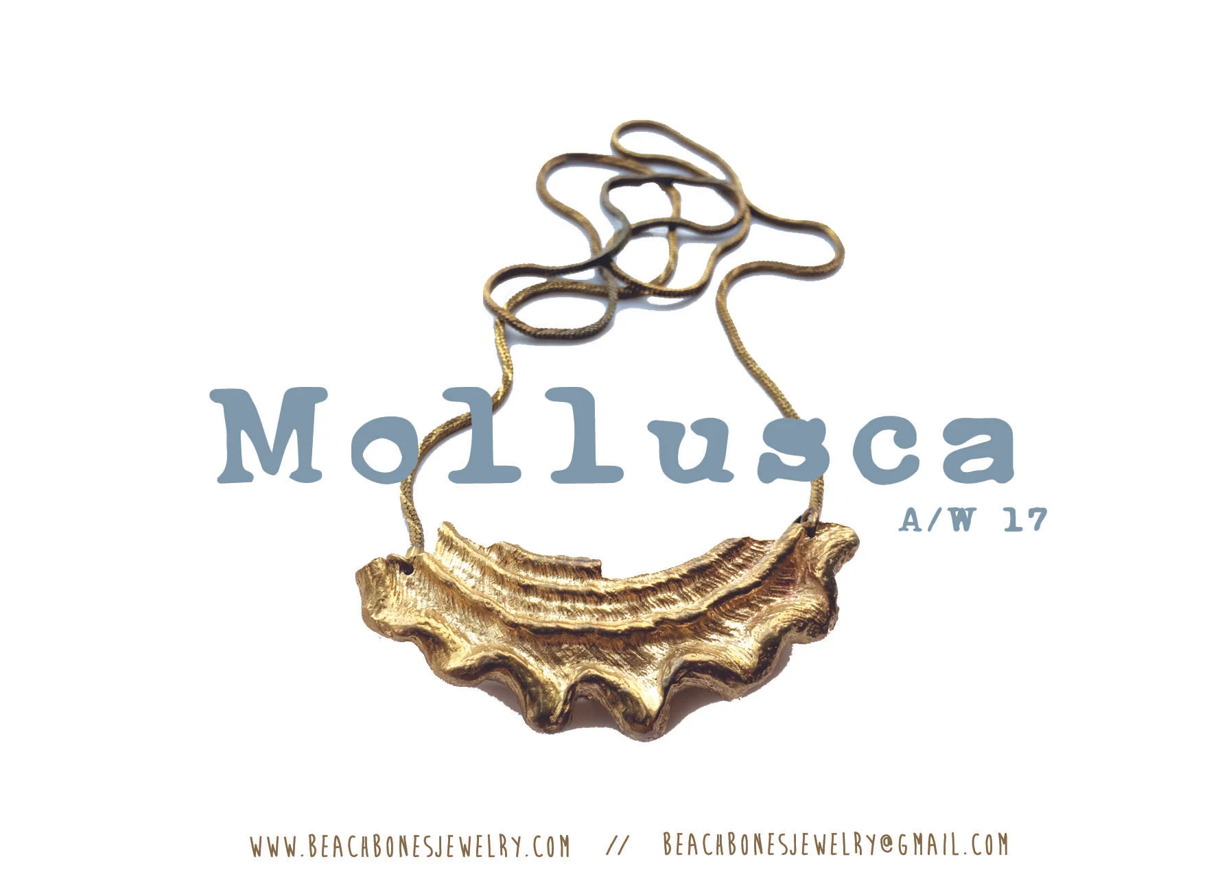 Mollusca Postcard Back 2 Blue.jpg