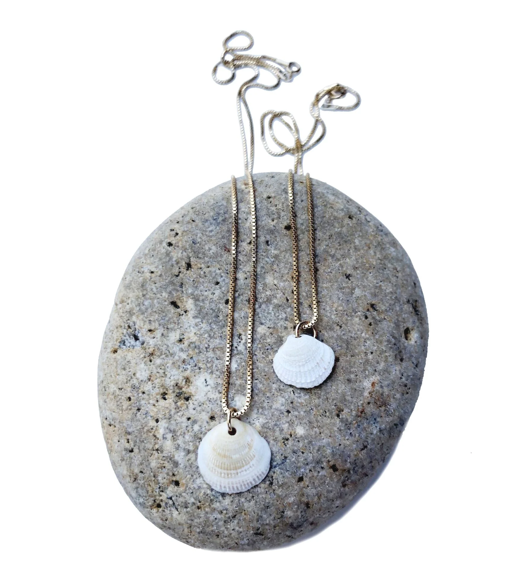 Baby Scallop Shell Necklaces