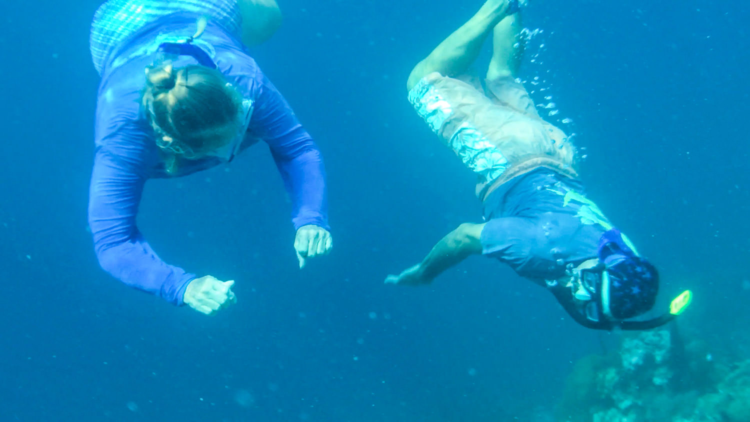 Snorkelling-Gallery-Bluesky-San-Blas-Panama-002.jpg