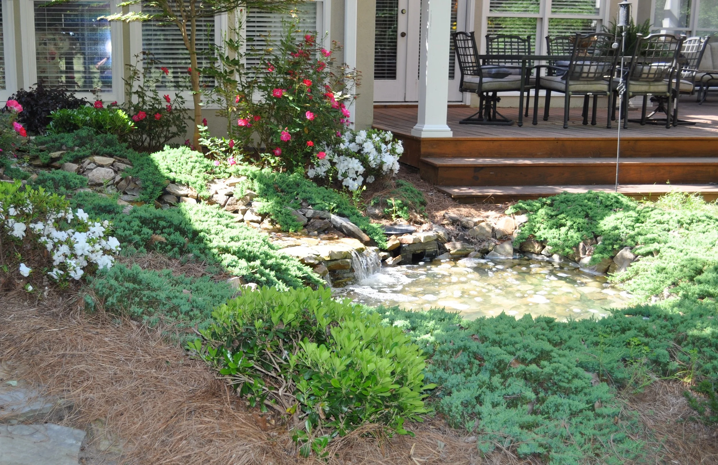 DSC_0547 - Copy 2.JPG