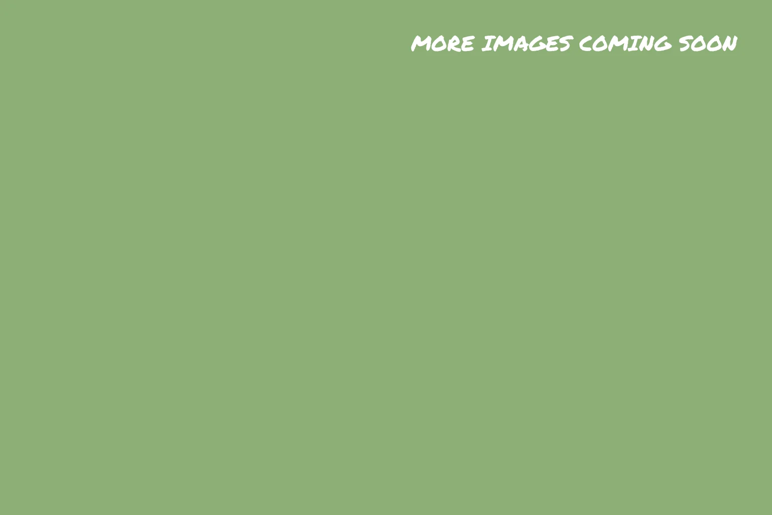 textes COMING SOON white.jpg