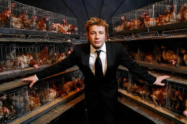 Jamie's Fowl Dinners