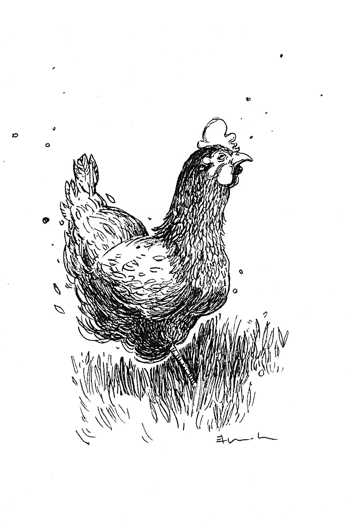 chickens_II.jpg