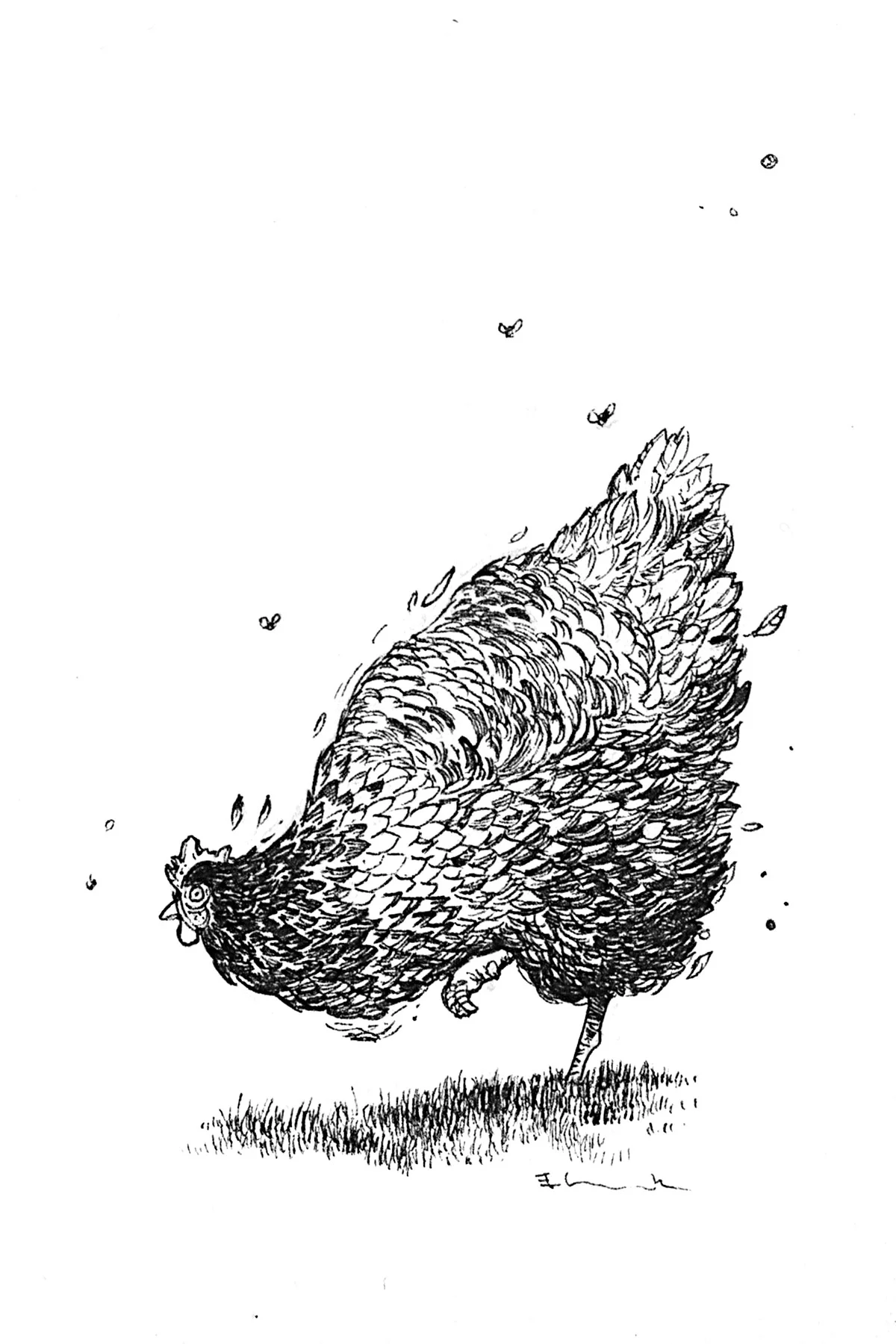 chickens_III.jpg