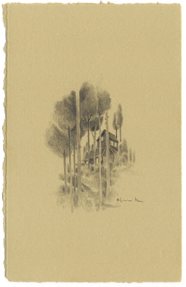 hancock_woods01.jpg