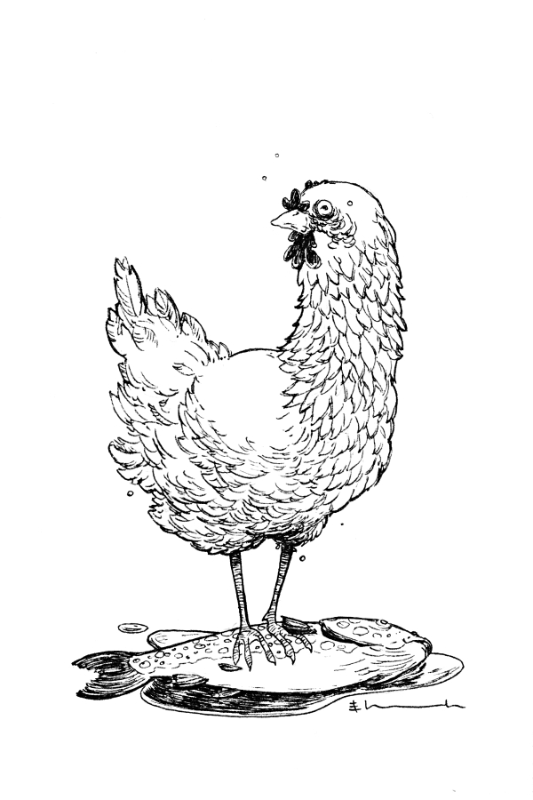 chickens_08.jpg
